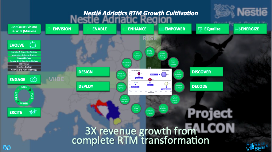 3: The Nestlé Adriatics Transformation Case 💗♾️